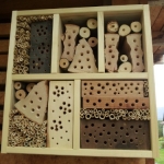 Hotel zur wilden Biene